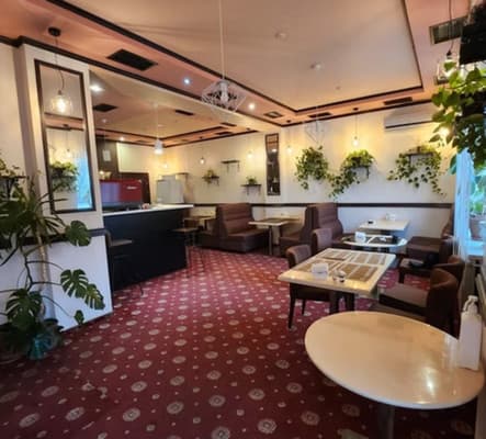 Киевские ночи 18